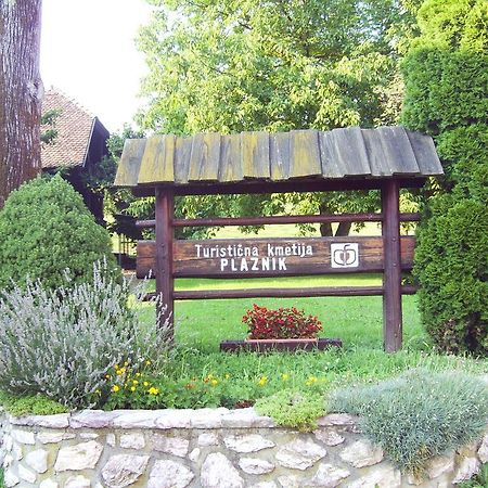 Guest House Turisticna Kmetija Plaznik Ljubno Eksteriør billede