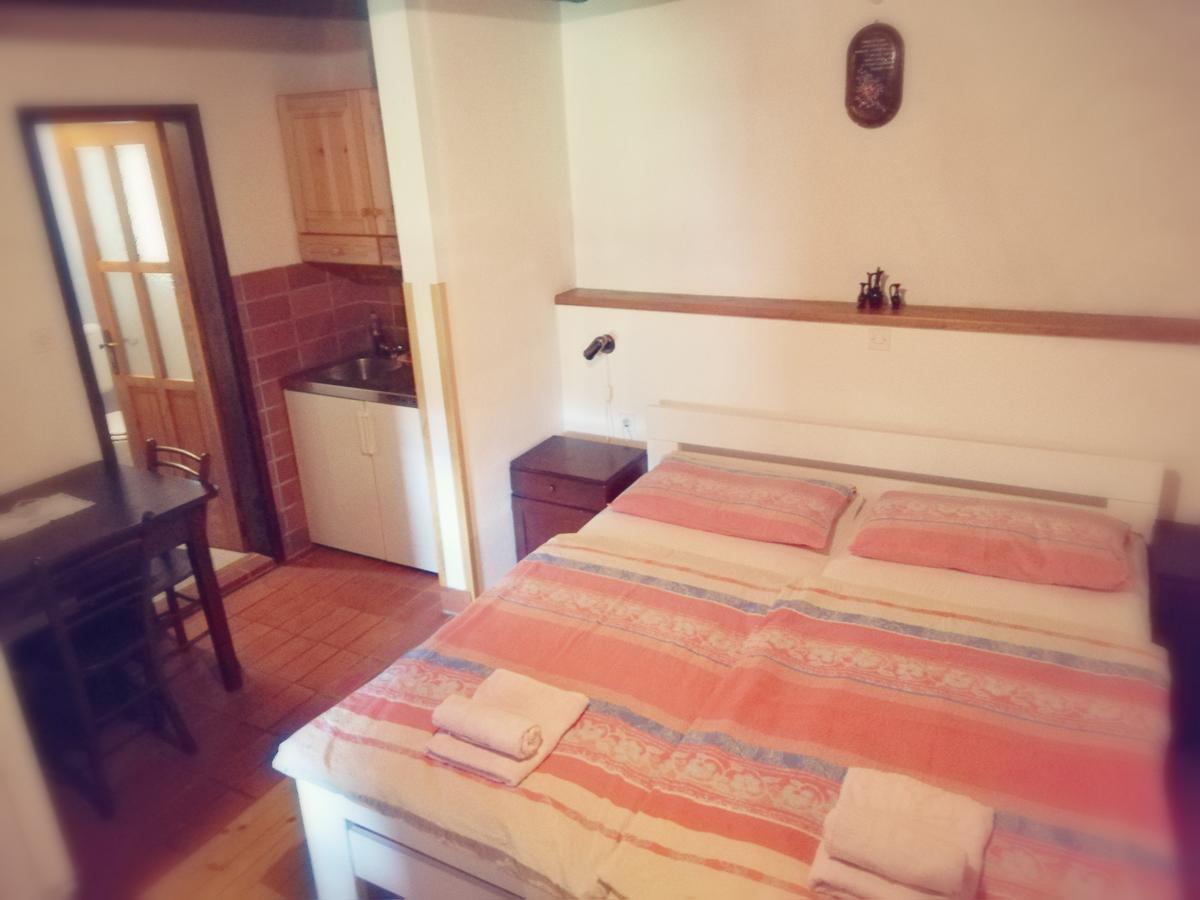 Guest House Turisticna Kmetija Plaznik Ljubno Eksteriør billede